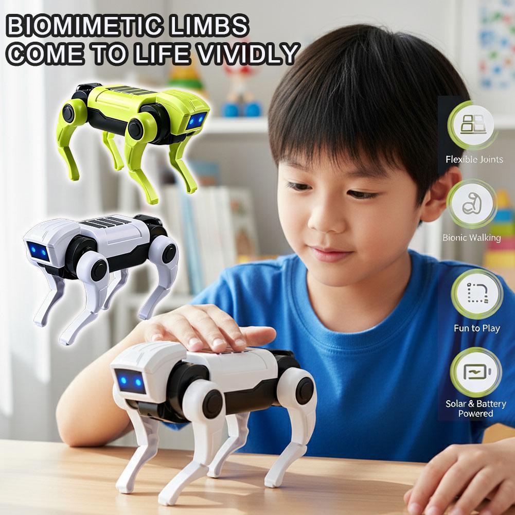 Science Robot - DIY Assembly RC Robot Dog Toy