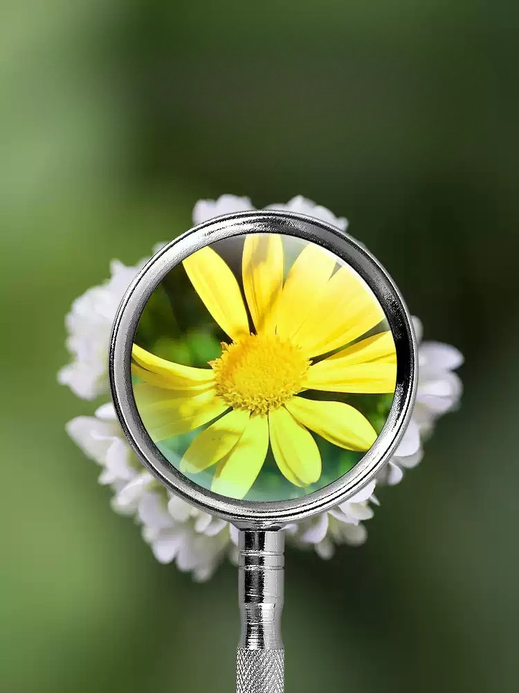 10X 20X Handheld Magnifying Gl - Hobby Is Science ulasan dan harga
