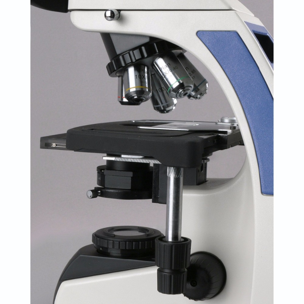 AmScope T720 Series Infinity-C - Amscope Microscope Compound 40X-1000X ulasan dan harga